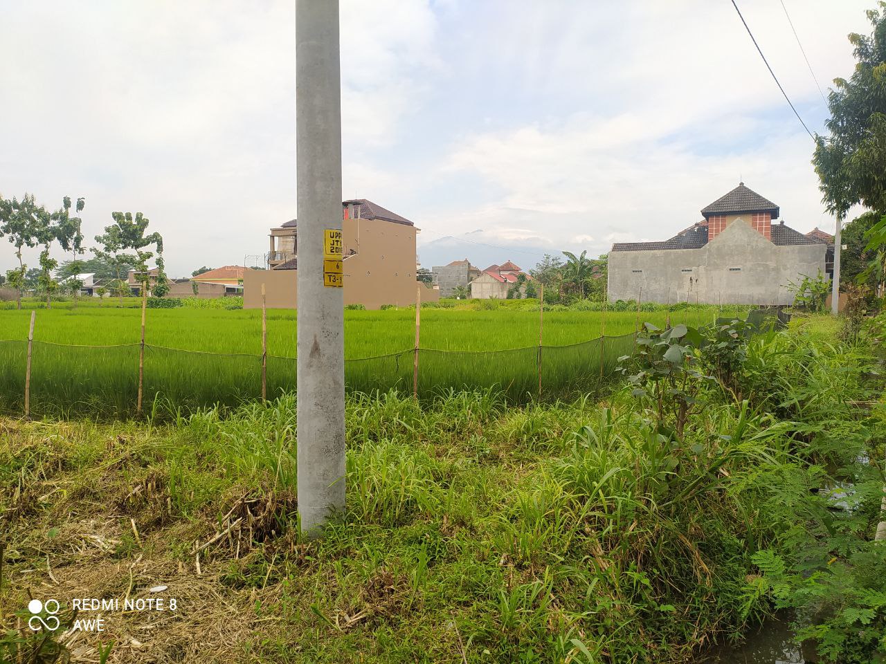 TANAH PERTANIAN