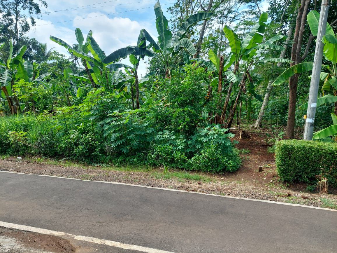 TANAH PEKARANGAN