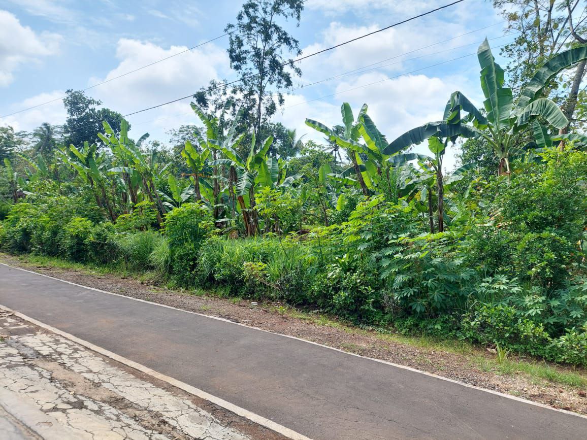TANAH PEKARANGAN - thumbnail 4
