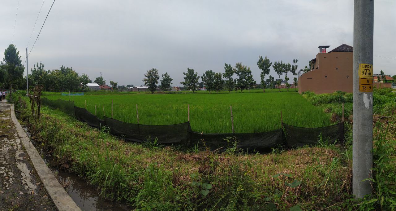 TANAH PERTANIAN - thumbnail 5